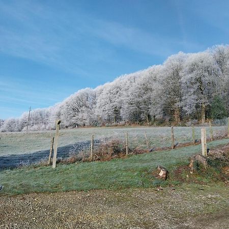 Gite En Lisiere De Foret Andaine Perrou Luaran gambar