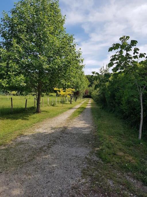 Gite En Lisiere De Foret Andaine Perrou Luaran gambar