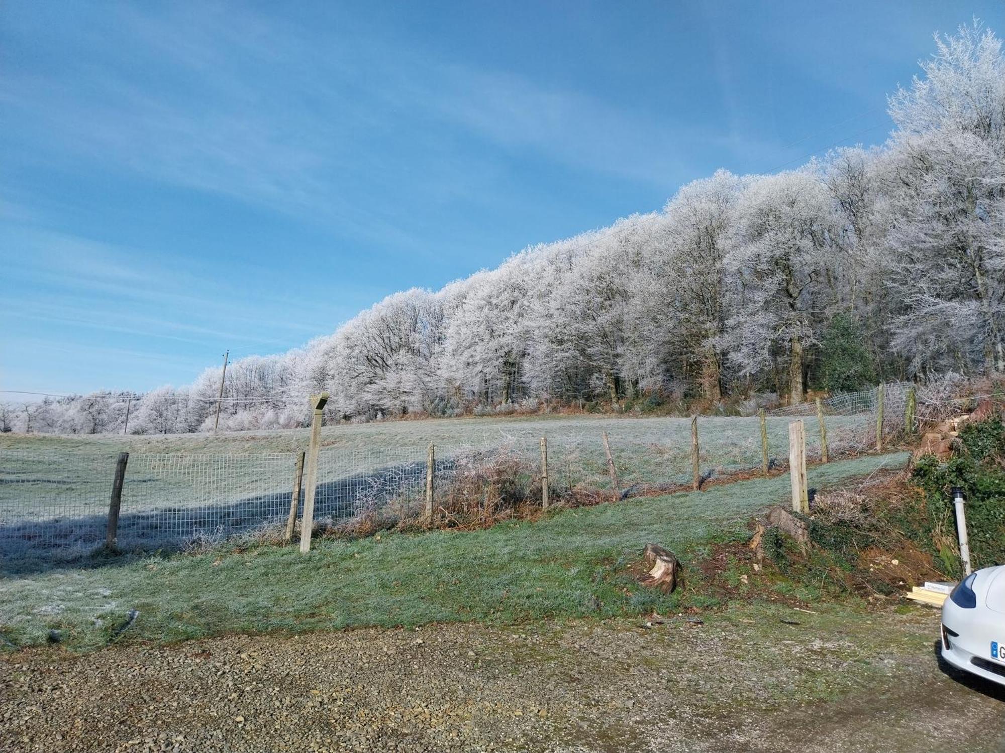 Gite En Lisiere De Foret Andaine Perrou Luaran gambar